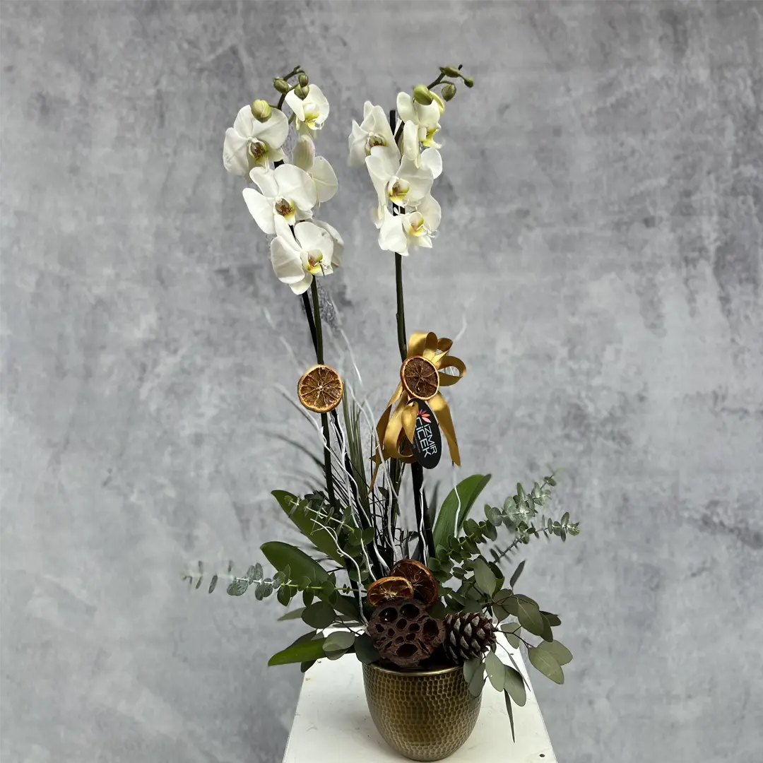 Deluxe Beyaz Orkide