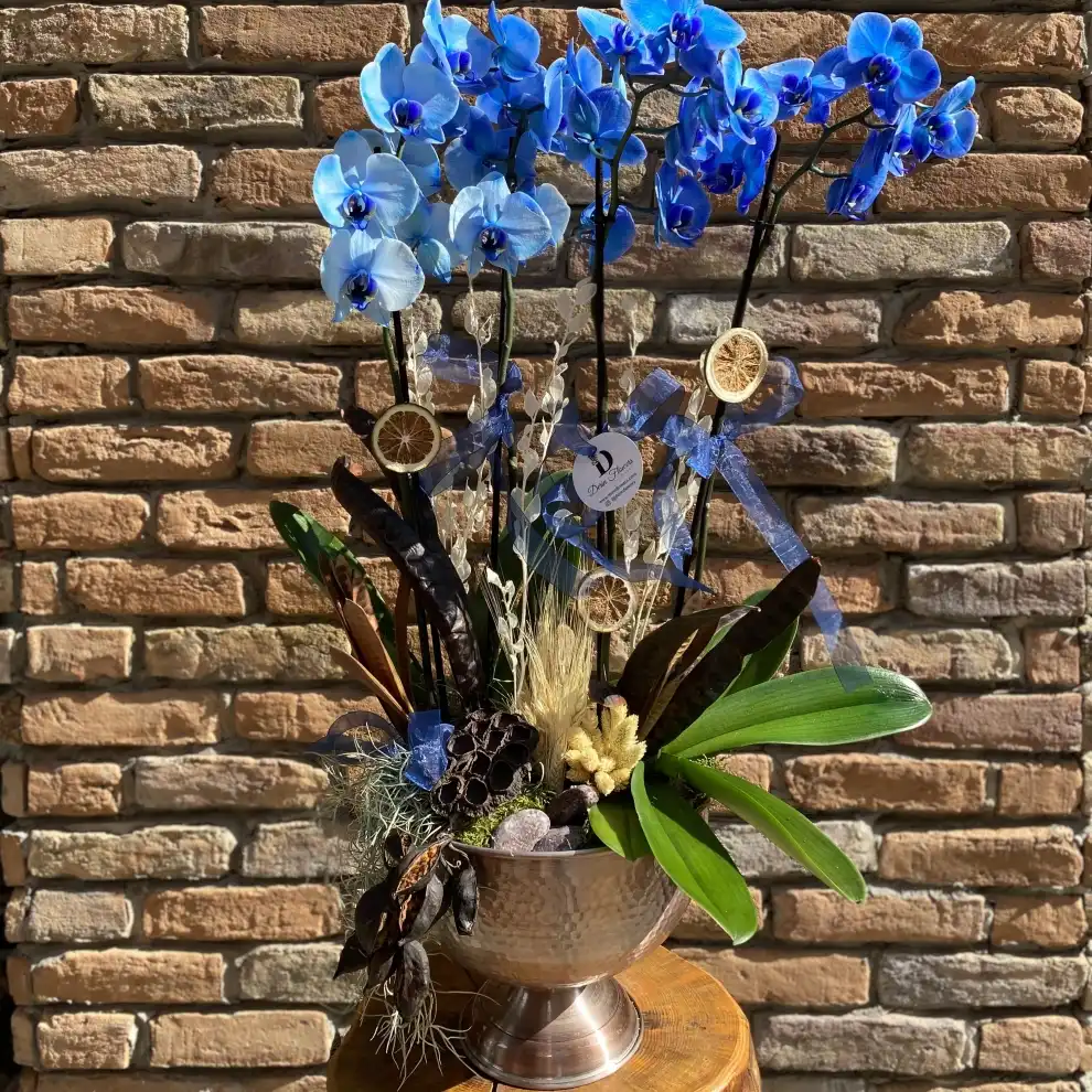 Mavi Orkide Tasarım